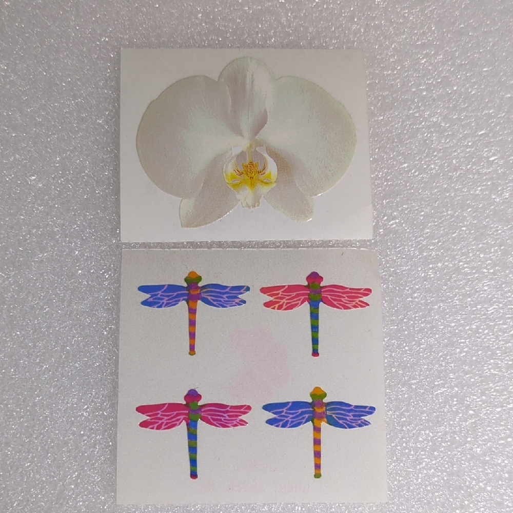 💚4/$10💚Vintage White Orchid and Dragonfly